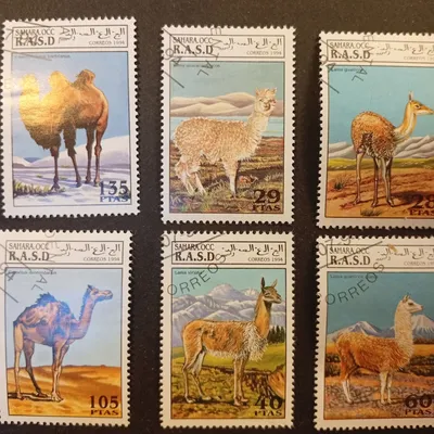Lot Timbres les lamas 